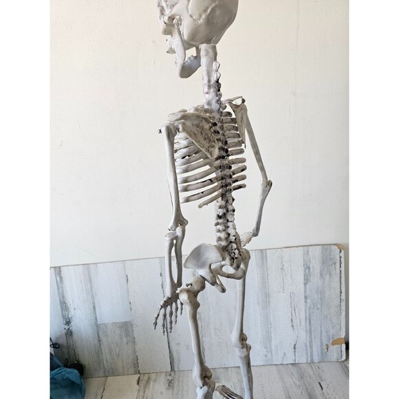 33" jointed hanging skeleton prop - Picture 6 of 9
